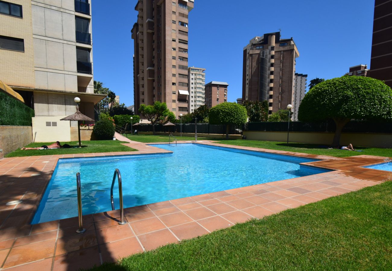 Apartment in Benidorm - TORRE IPANEMA 9D