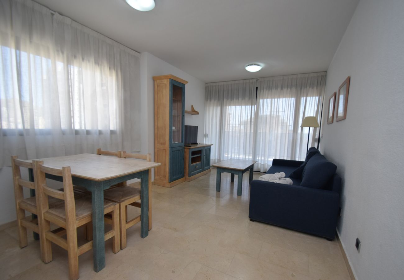 Apartment in Benidorm - TORRE IPANEMA 9D
