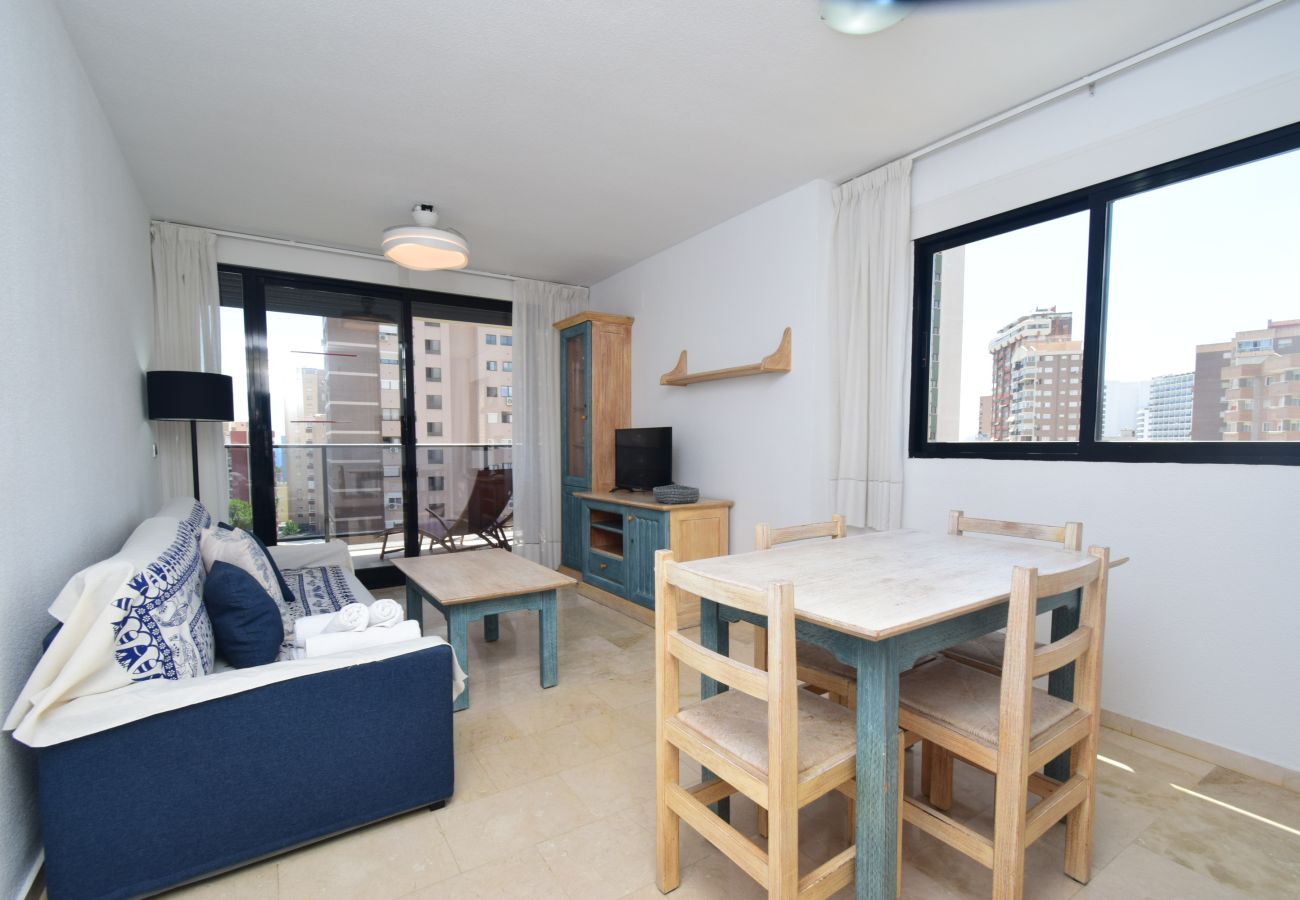 Apartment in Benidorm - TORRE IPANEMA 6A - 1 ROOM
