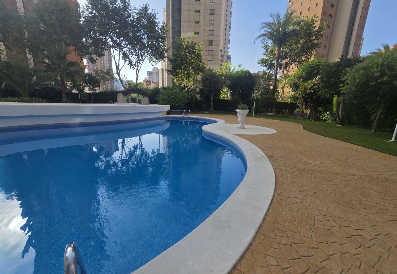 Apartment in Benidorm - PARQUE EUROPA (2 ROOMS)
